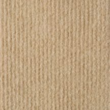 Evo-Junior – Champagne