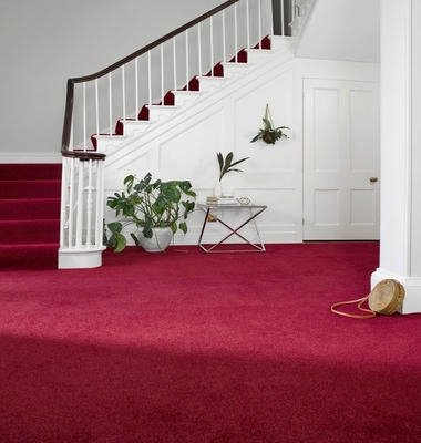Stylish Red floor Carpets