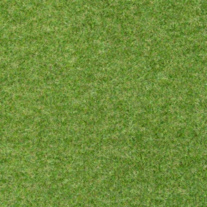 Trent 17mm Artificial Grass